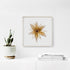 Yellow Star Flower Art Print